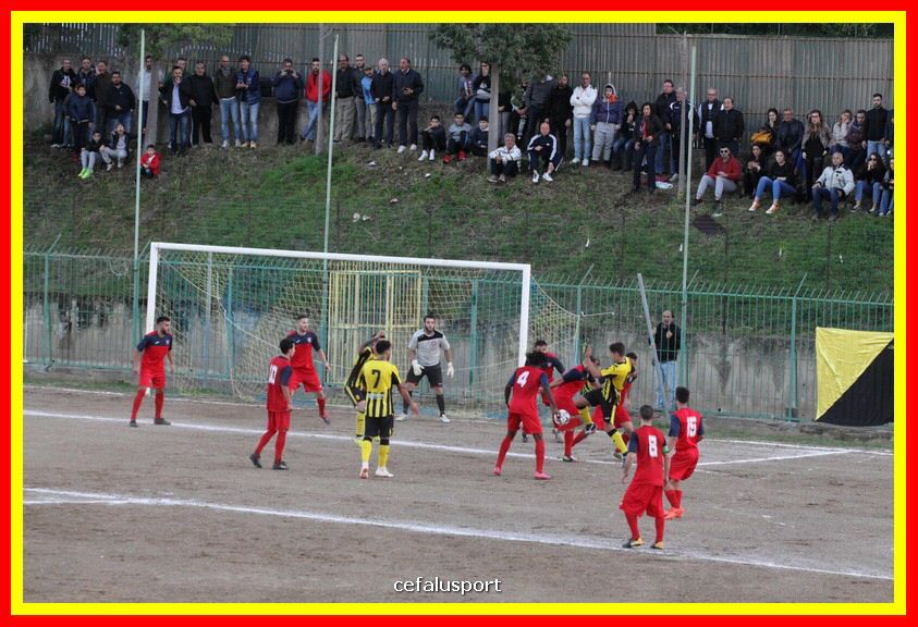 181111 Cepha_Milazzo 291_tn.JPG